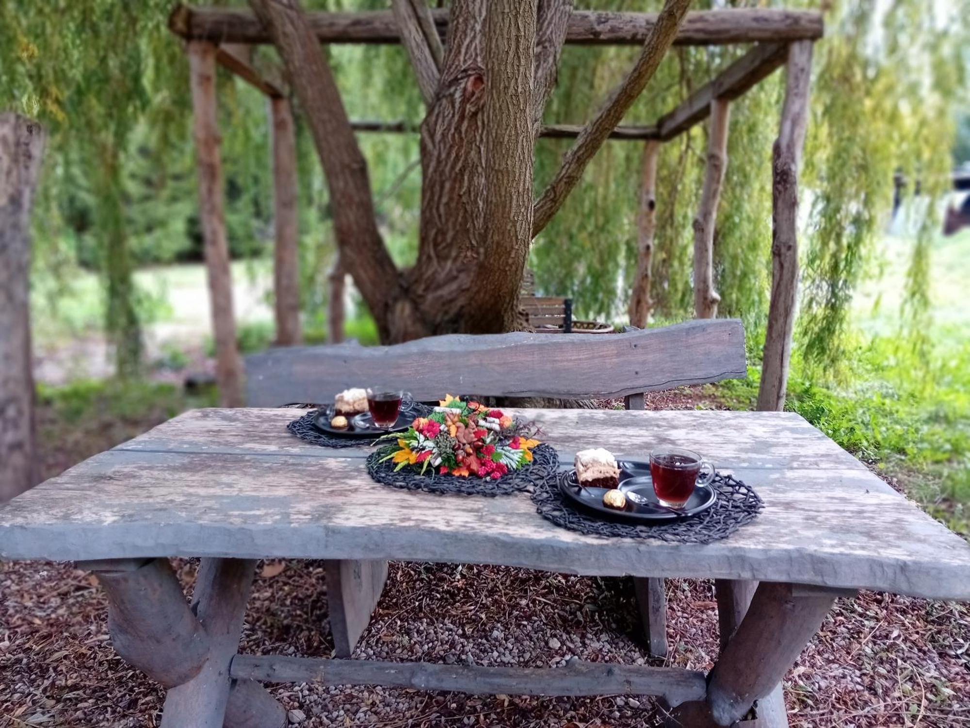 Stara Szkolas7 Noclegi,Mzajezierze 8 14-330 Mazury Małdyty 外观 照片