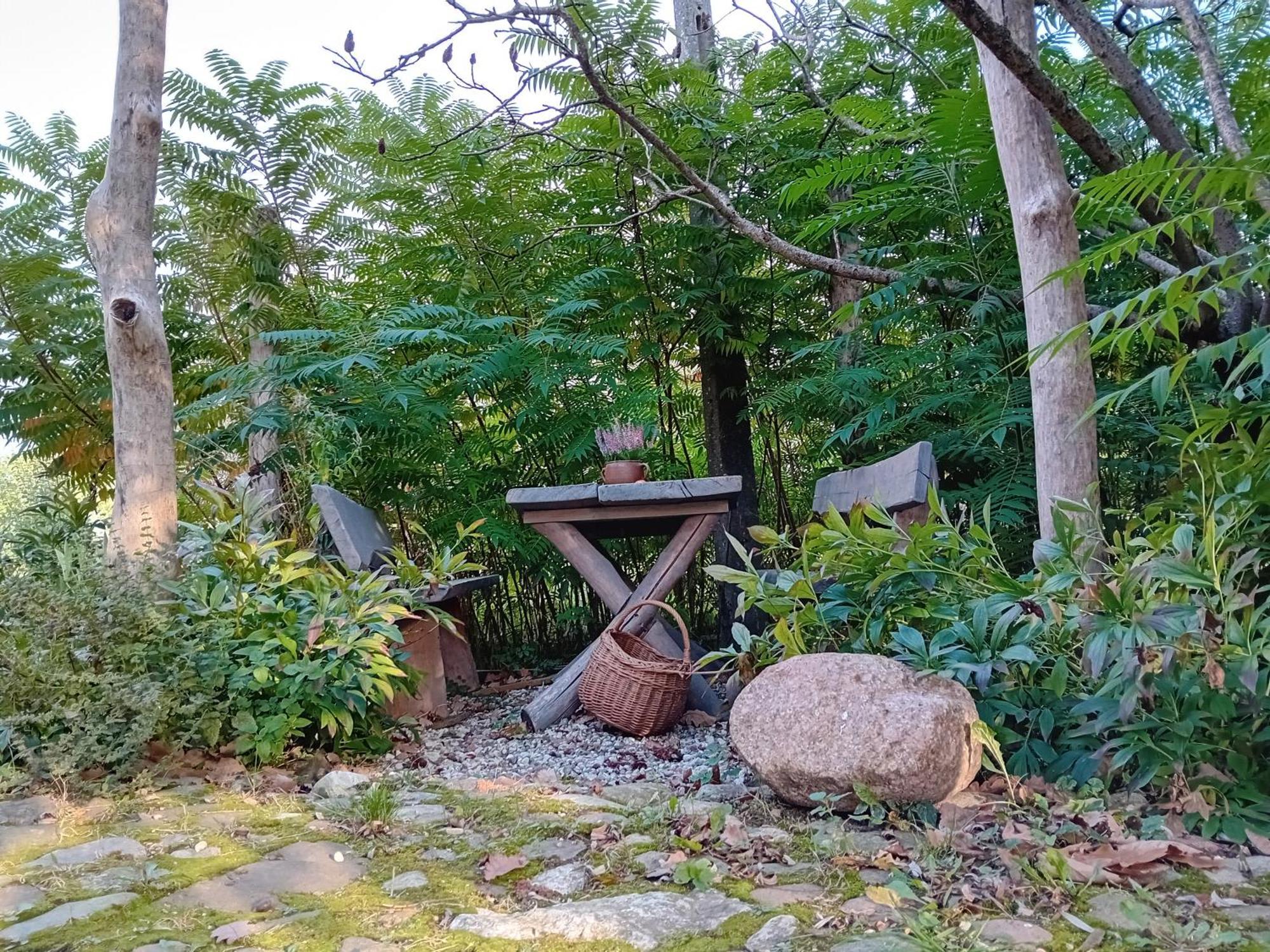 Stara Szkolas7 Noclegi,Mzajezierze 8 14-330 Mazury Małdyty 外观 照片